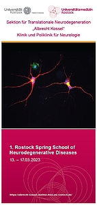 1. Rostock Spring School of Neurodegenerative Diseases 13.-17.03.2023